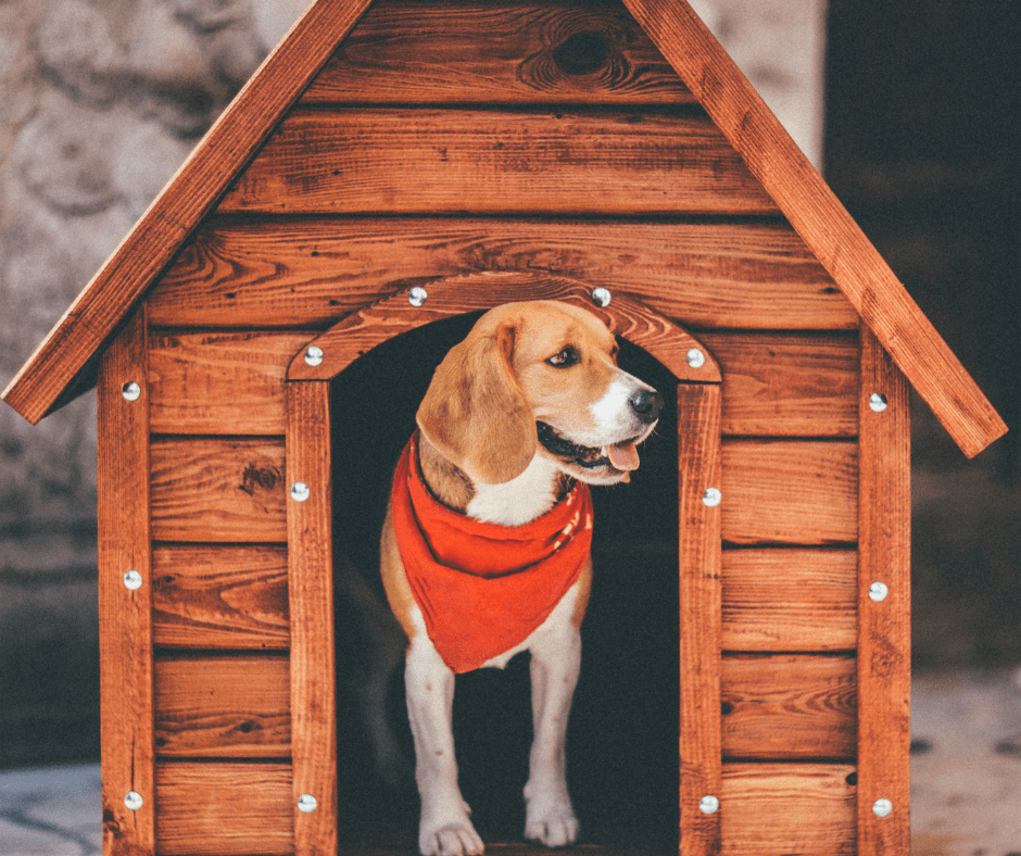 Συναρμολόγηση σπιτάκι σκύλου Συναρμολόγηση σπιτάκι σκύλου